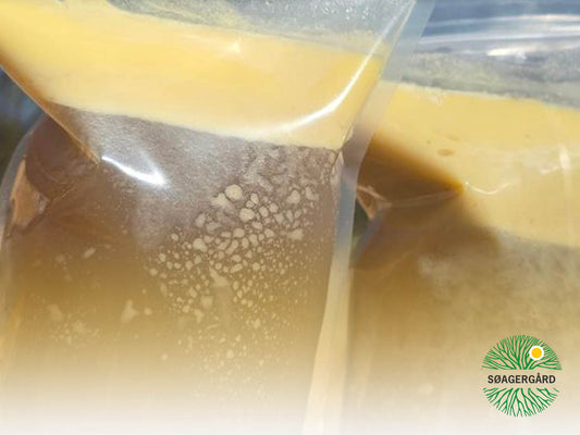 Nourishing bone broth