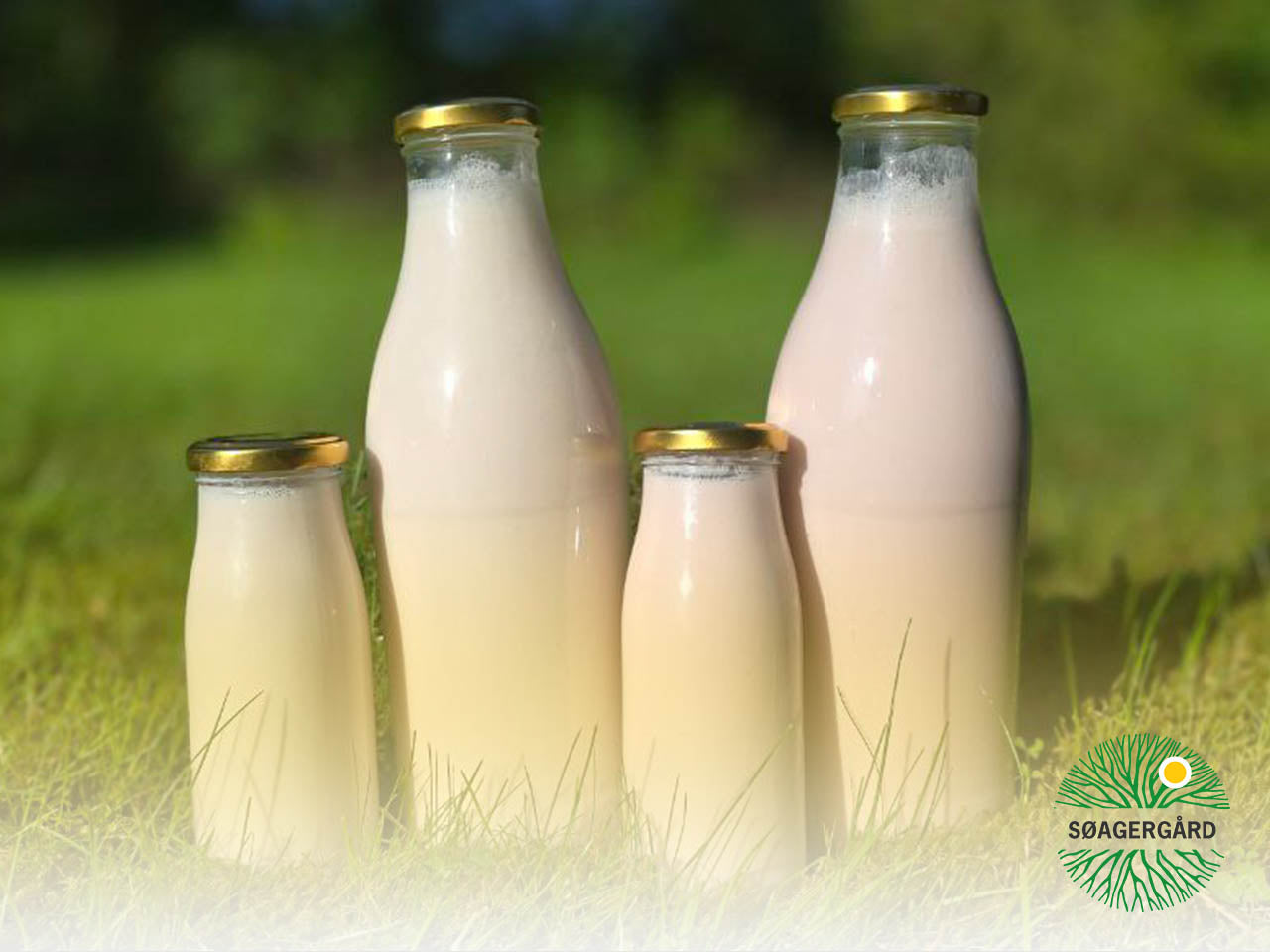 High welfare yoghurt (A2A2, grass-fed)