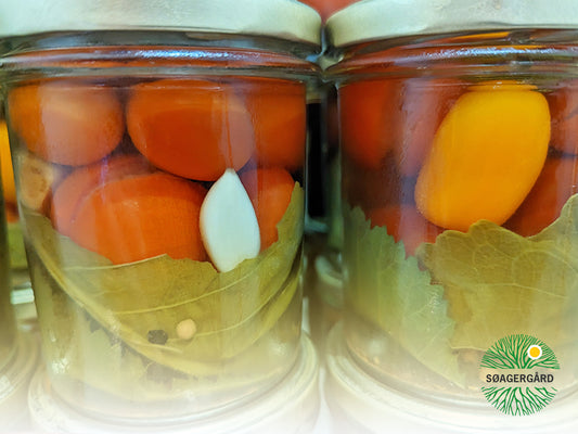 Lacto-fermented Tomatoes