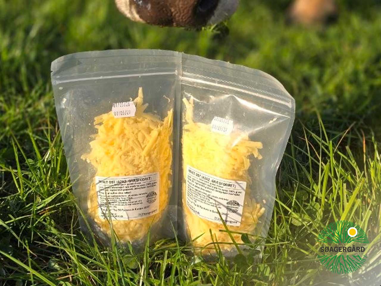 Grated cheese (A2A2, grassfed)