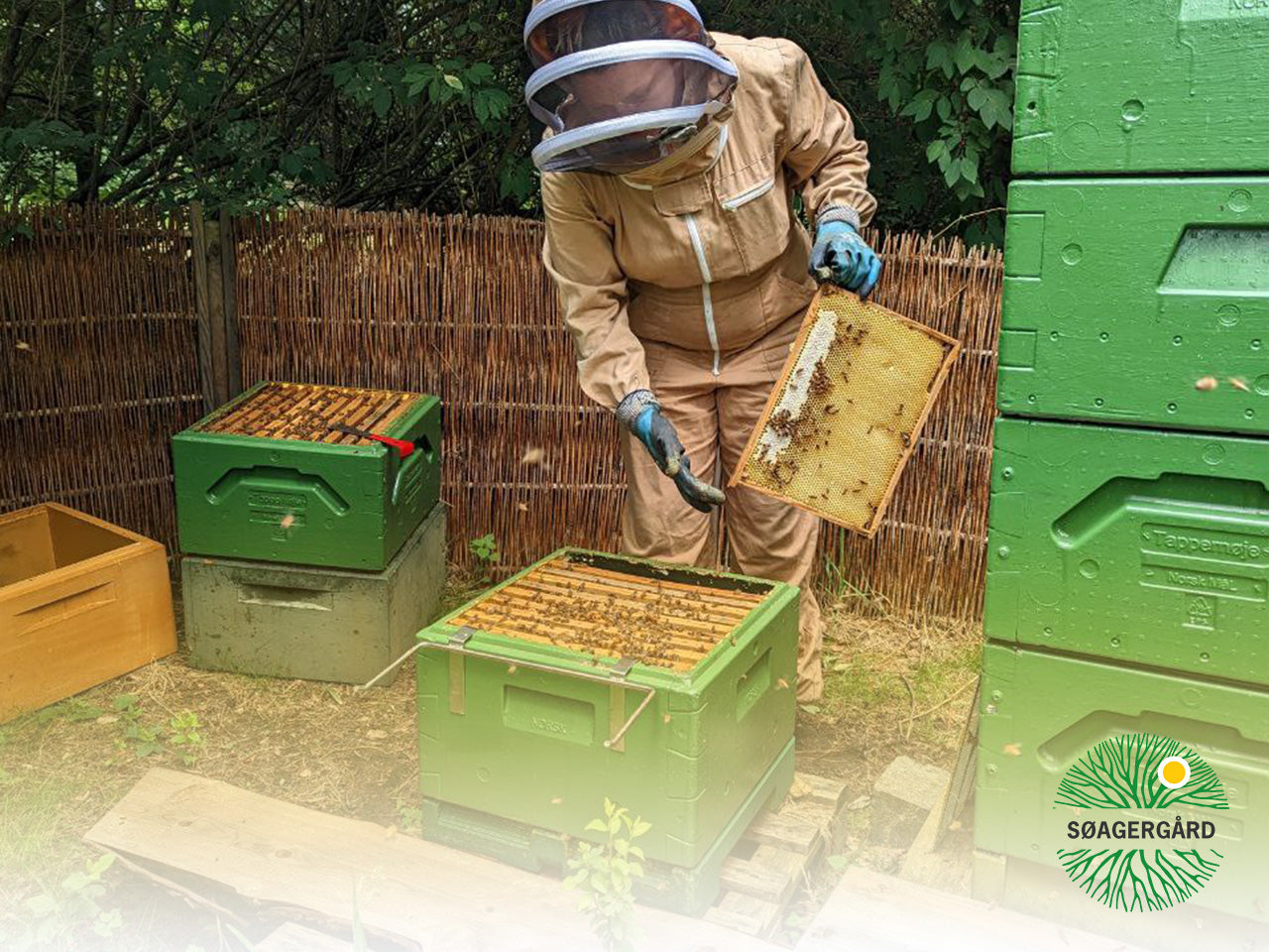 Zingy and zesty honey