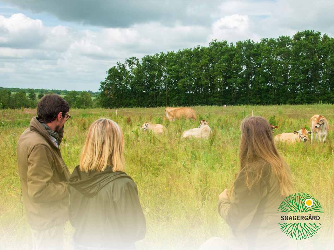 Real skills: learn practical holistic grazing