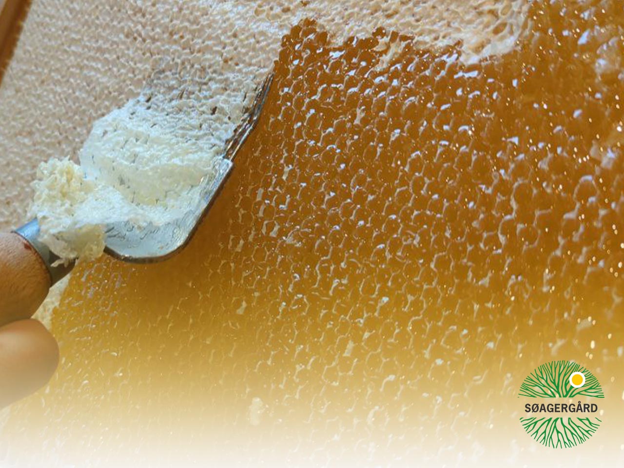 Zingy and zesty honey