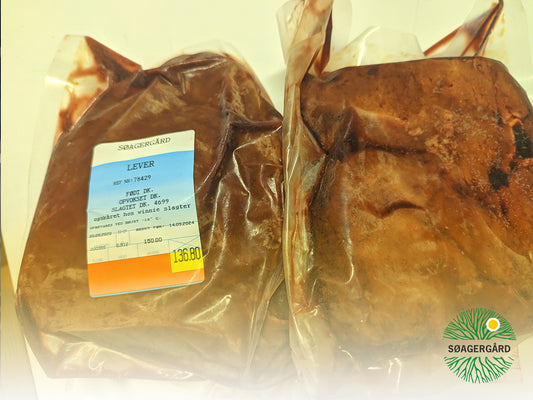 Liver