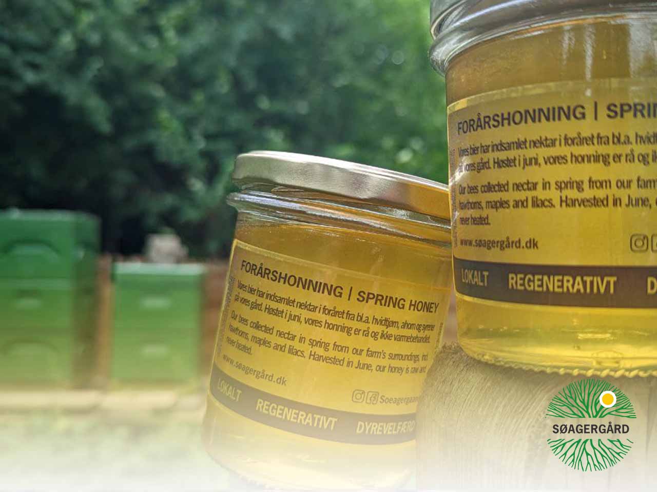 Zingy and zesty honey