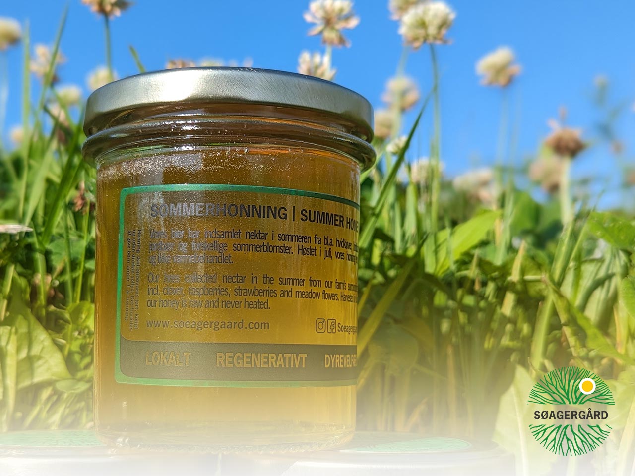 Zingy and zesty honey