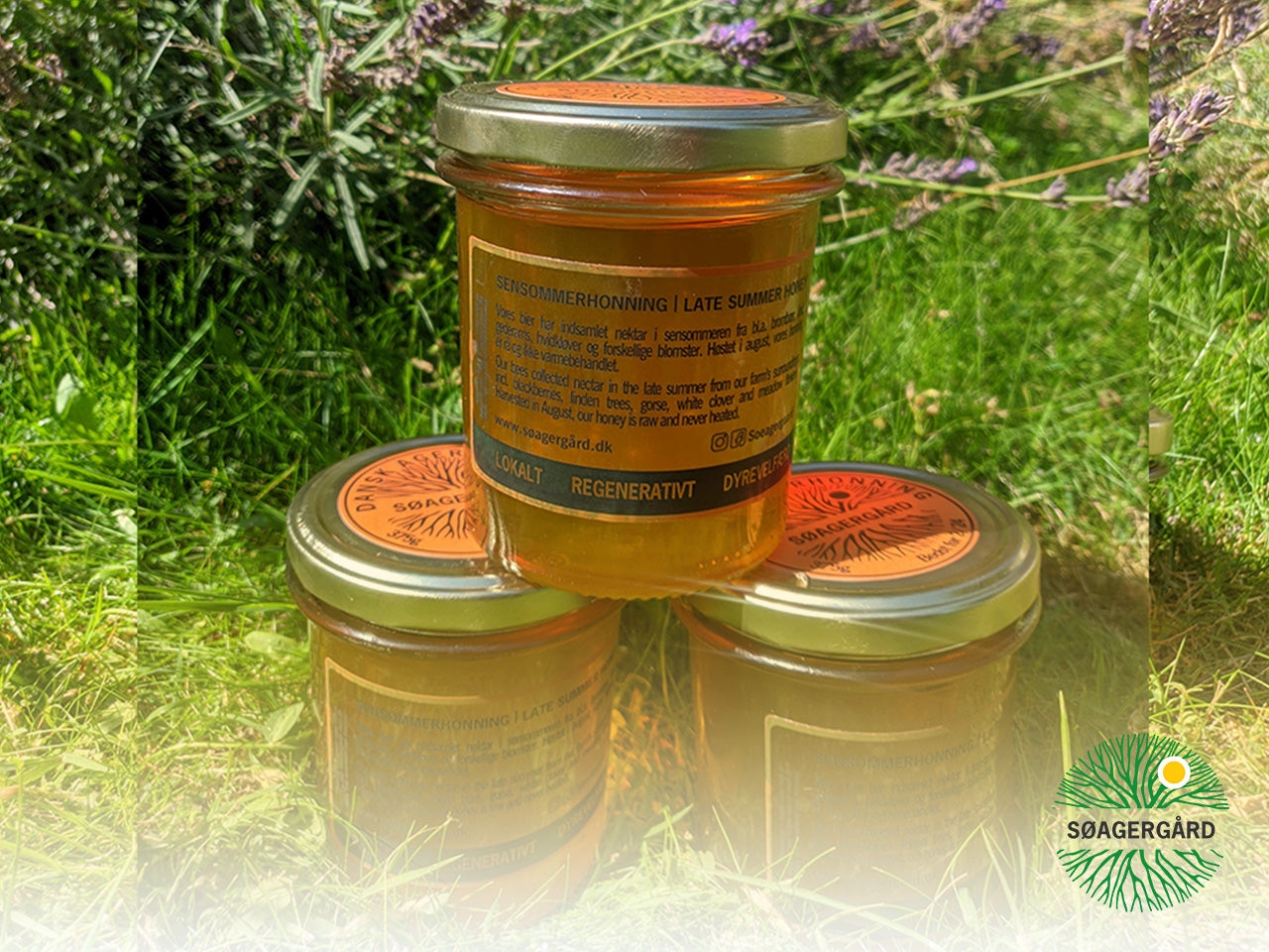 Zingy and zesty honey