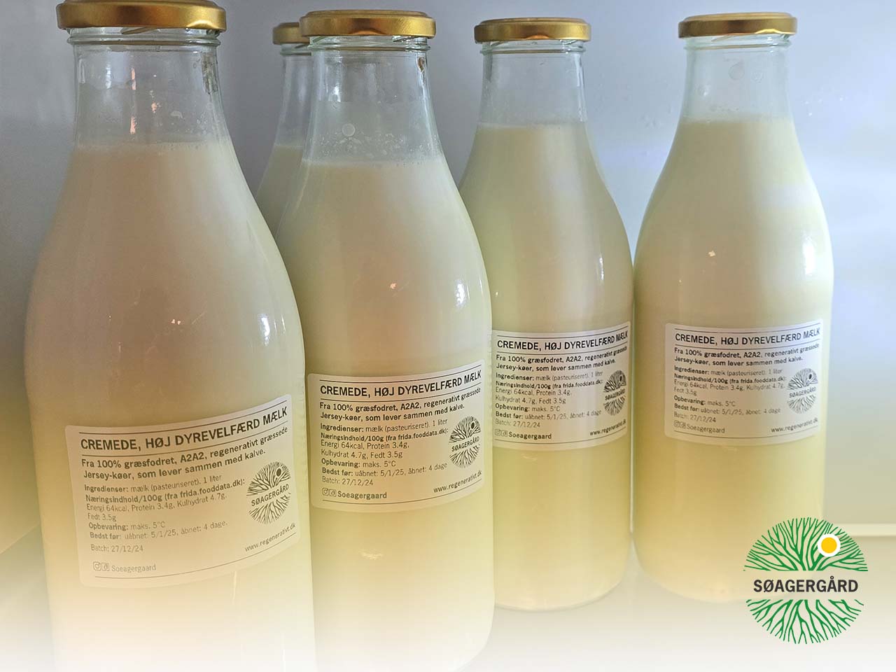 Gently pasteurised milk (A2A2, grass-fed)